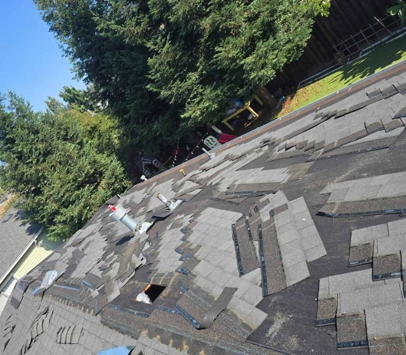 Professional roof replacement with asphalt shingles by Castellanos Roofing.