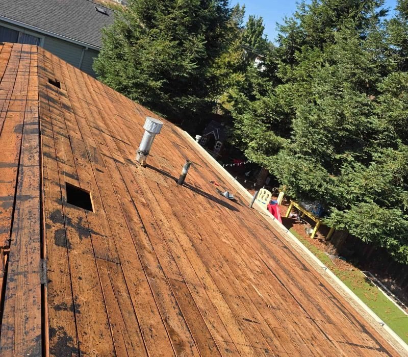Wooden roof with weathered shingles and surrounding trees in a residential area.